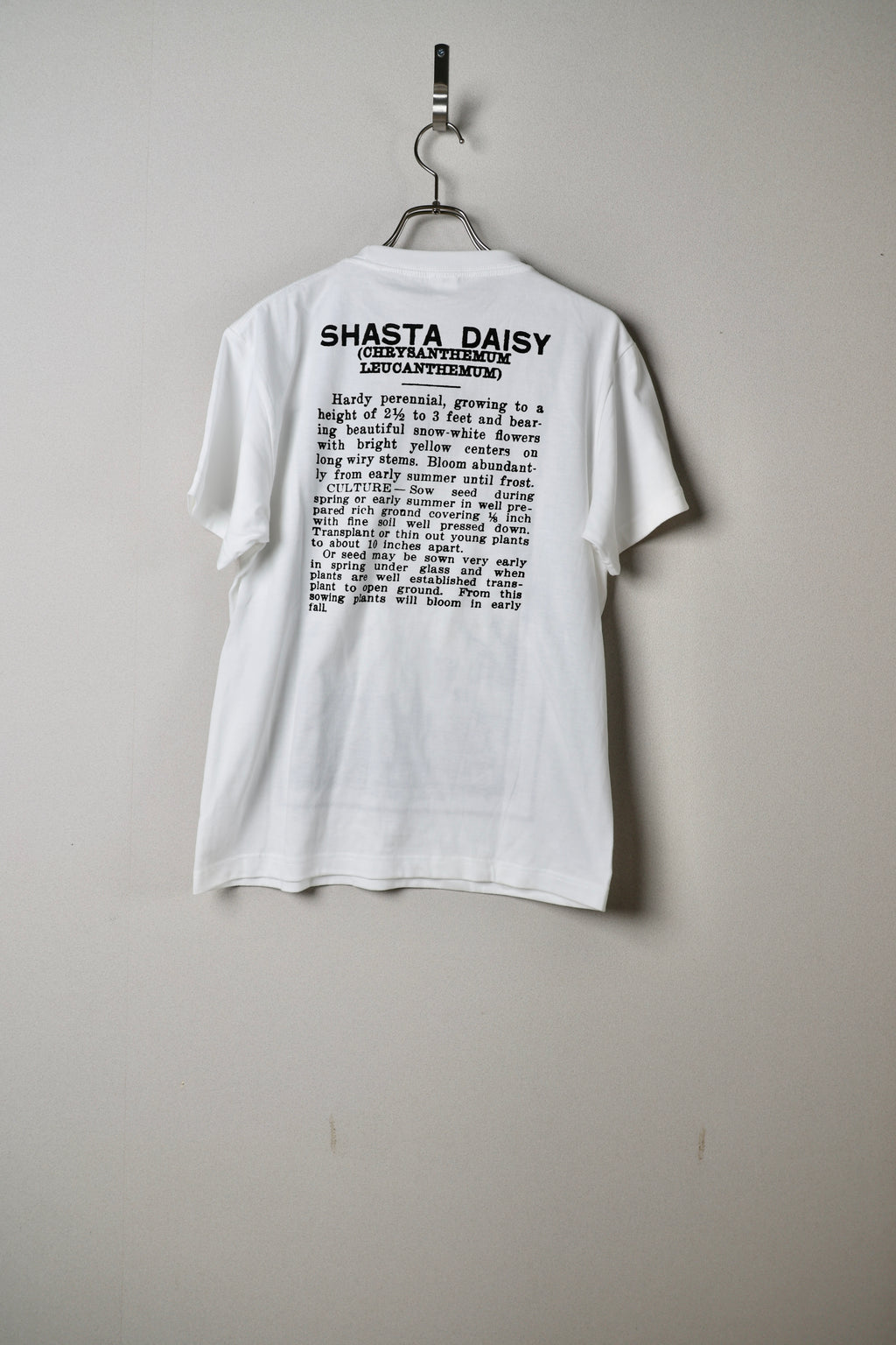 [Niche.] FLOWER SEEDS TEE -SHASTA DAISY-