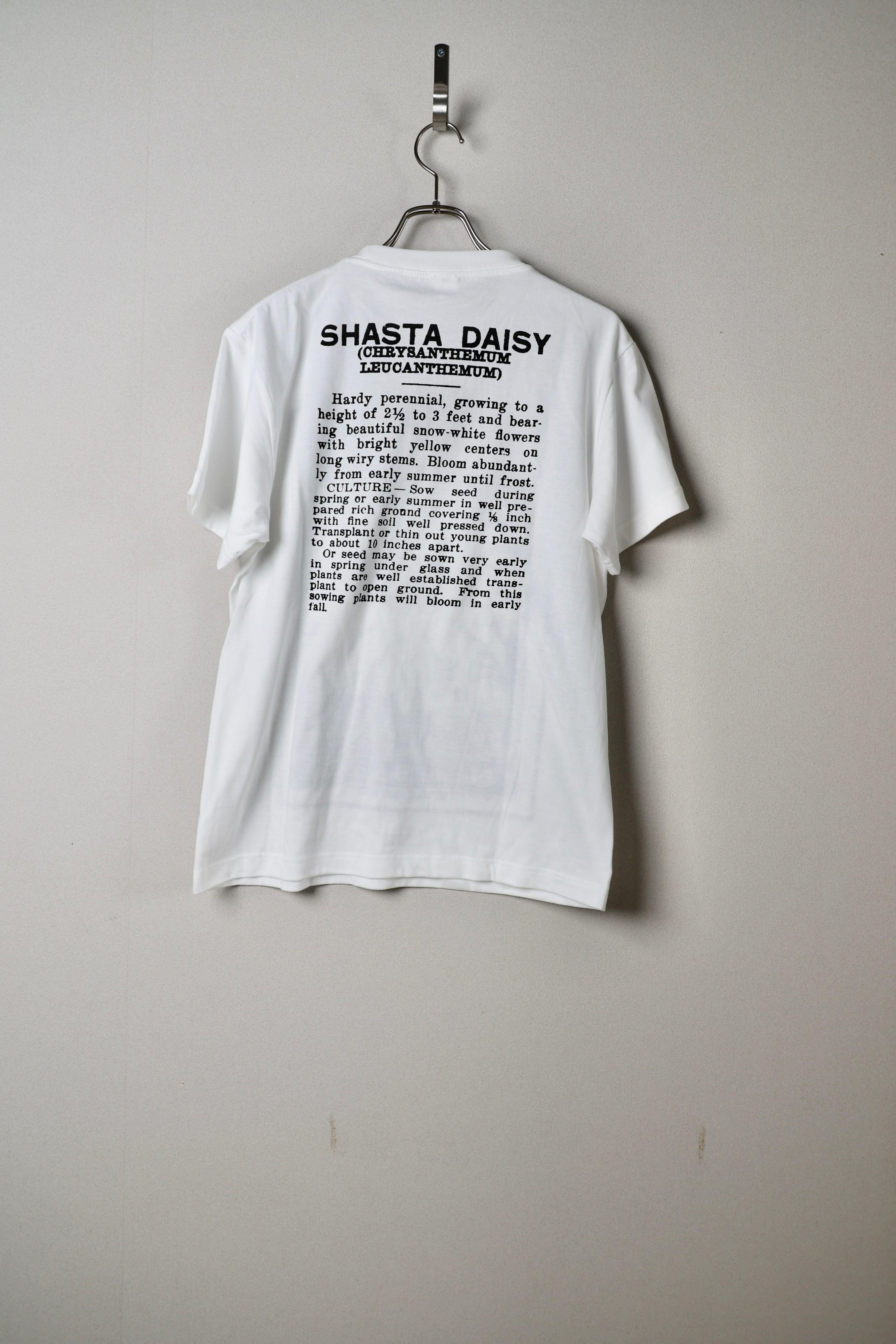 [Niche.] FLOWER SEEDS TEE -SHASTA DAISY-