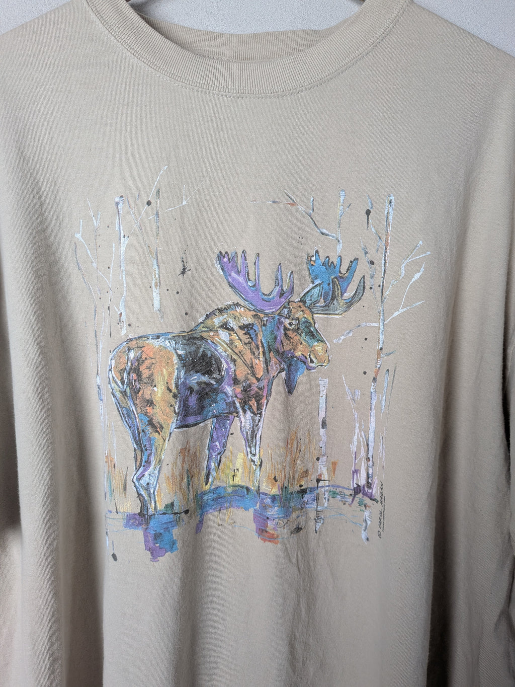 [anvil] Print T-Shirts [USED]